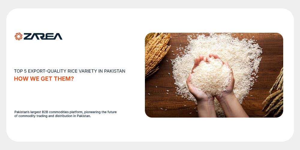 Top 5 Export-Quality Rice Variety in Pakistan | How We Get Them?